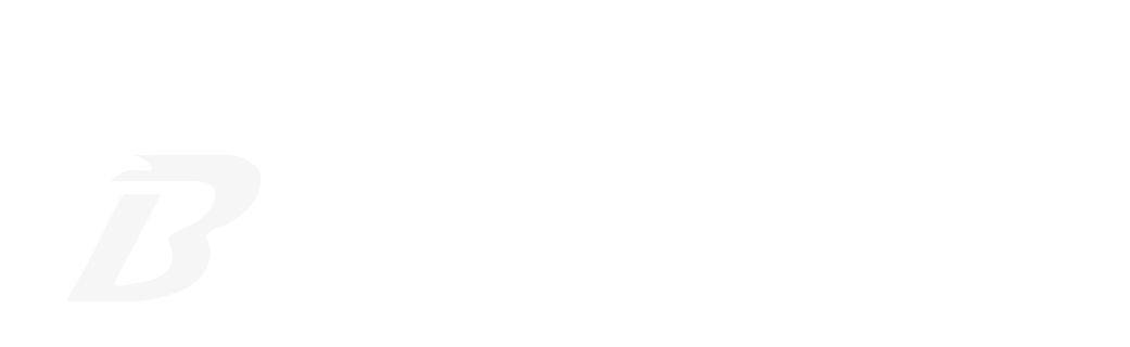 logo BBTS_Tekengebied 1